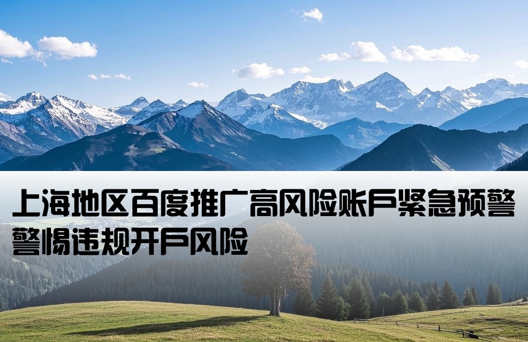 上海百度高危开户